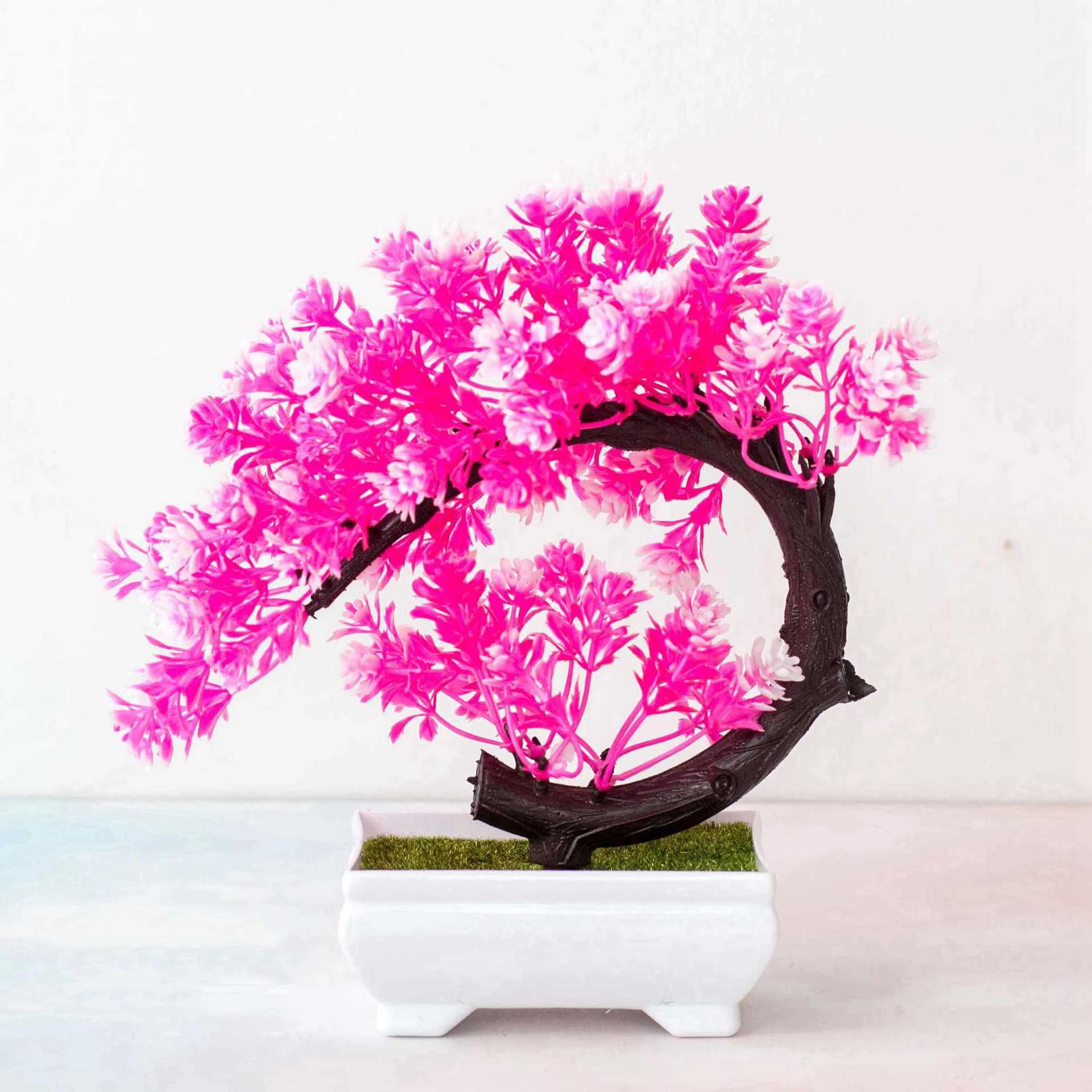 Coloured Bonsai Trees