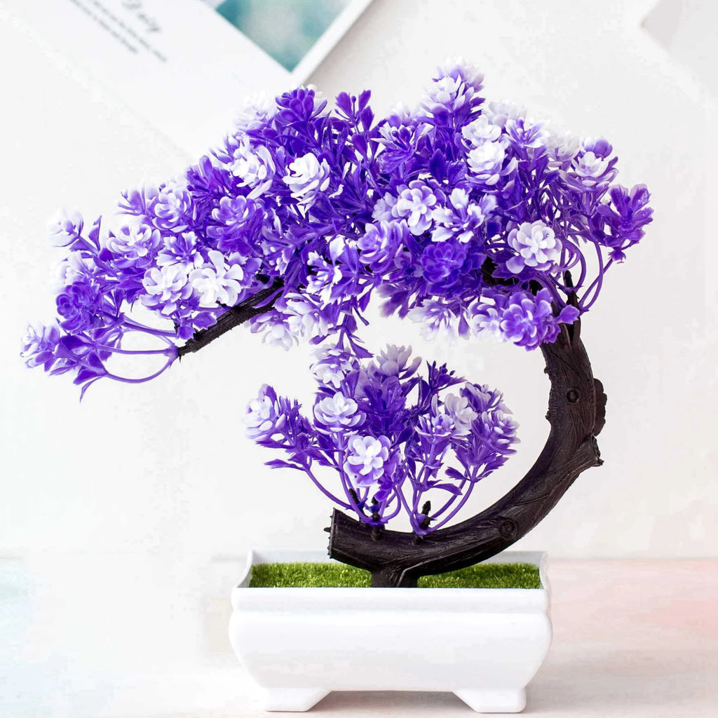 Coloured Bonsai Trees