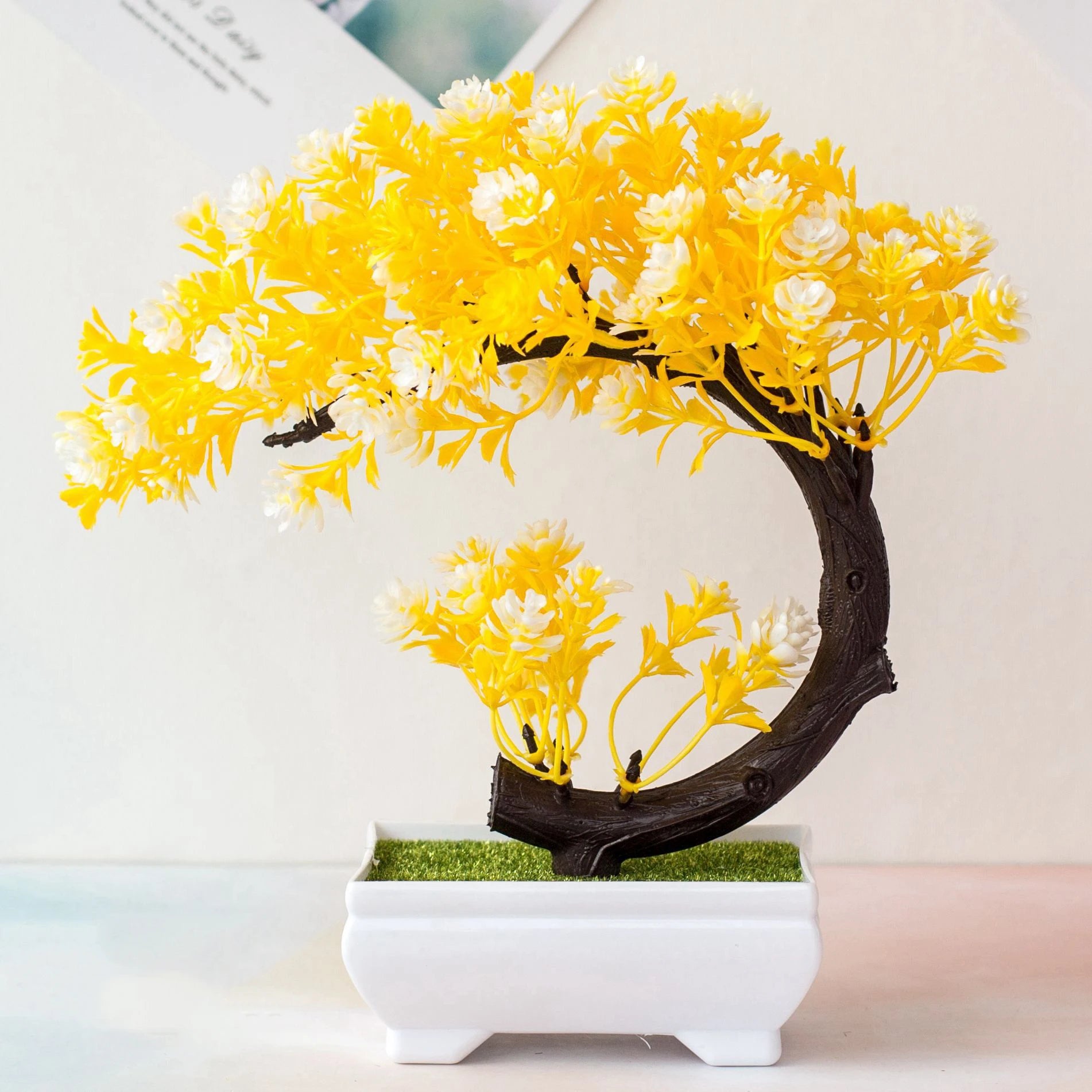 Coloured Bonsai Trees