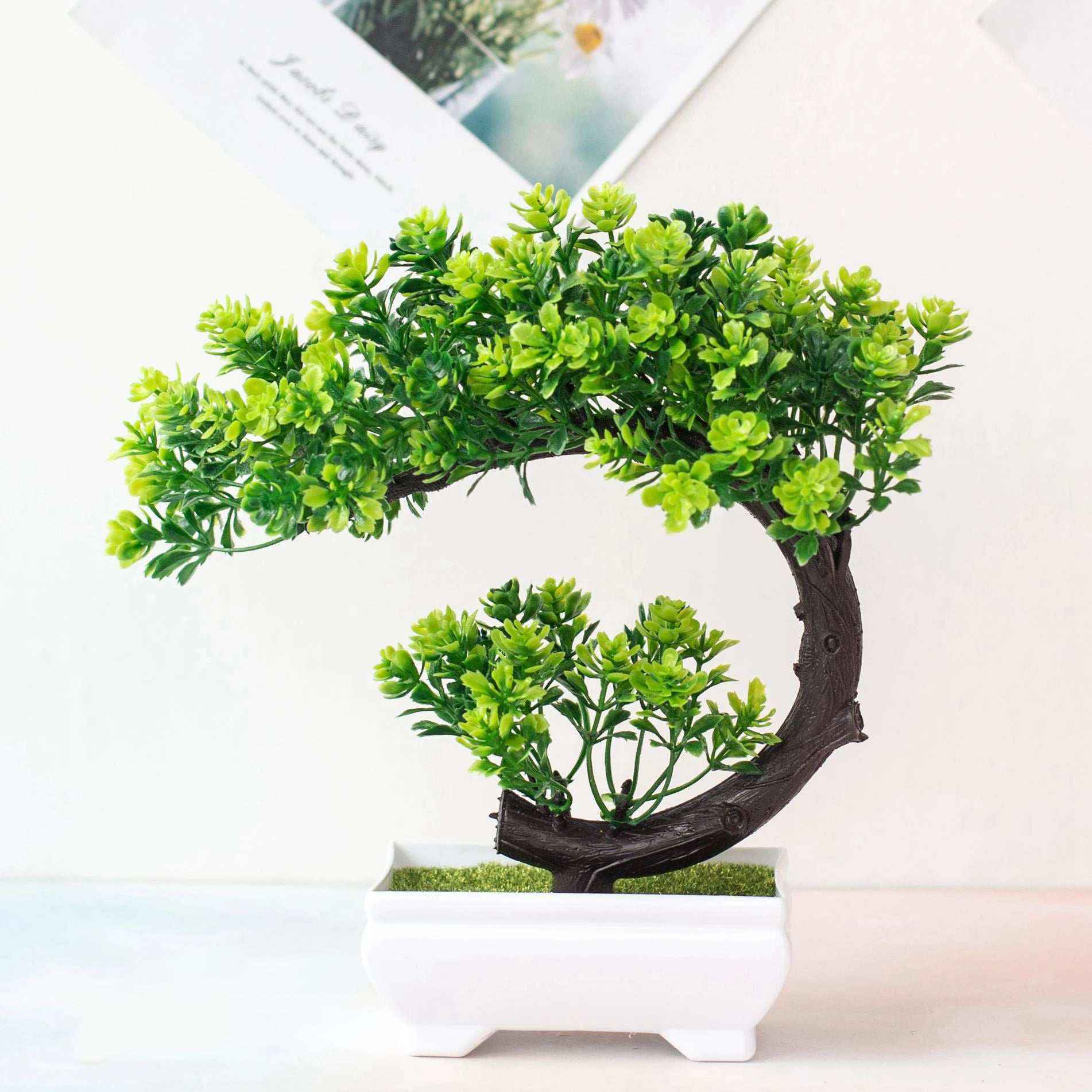 Coloured Bonsai Trees