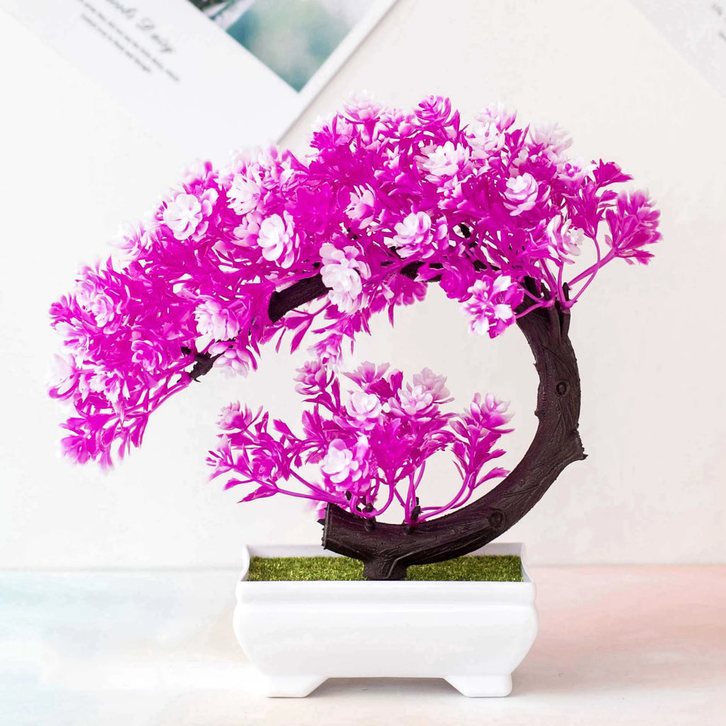 Coloured Bonsai Trees